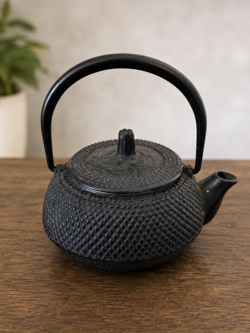Black Cast Iron Tetsubin-Style Tea Kettle